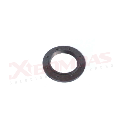0504 F&Q 8K8C BRIDA
