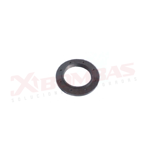 0501 F&Q 8K3C BRIDA