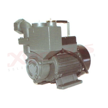 2531 F&Q SA250 CONJUNTO MOTOR BOMBA SHIMGE 1/2 HP
