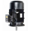 MAPT2P 7.53234, VDE, MOTOR DE SUPERFICIE VERTICAL EFICIENCIA PREMIUM