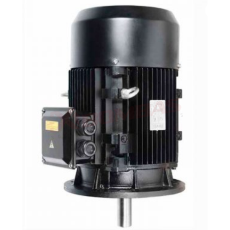 MAPT2P 103234, VDE, MOTOR DE SUPERFICIE VERTICAL EFICIENCIA PREMIUM