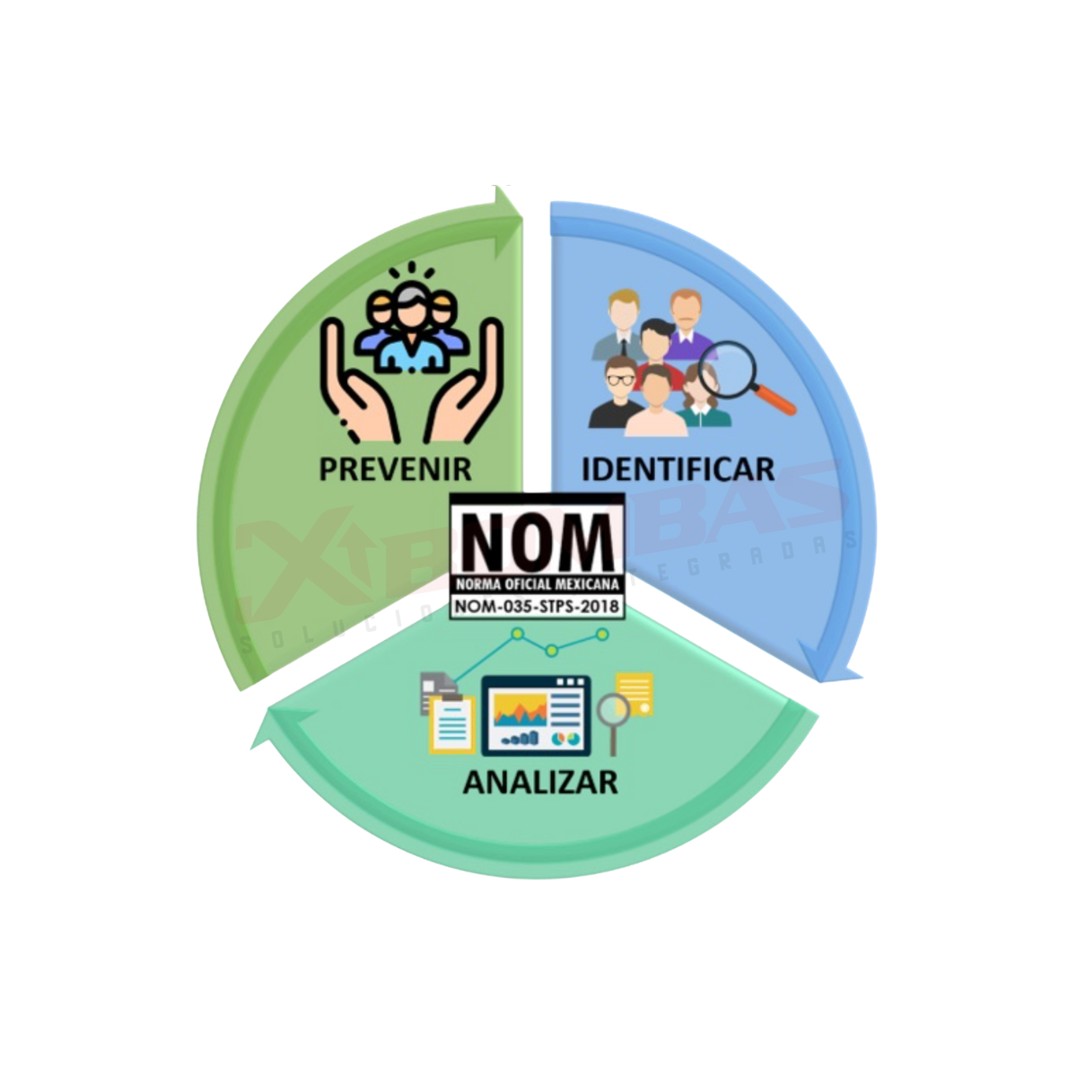 APLICACIÓN DE LA NORMA OFICIAL E-NOM35-2025