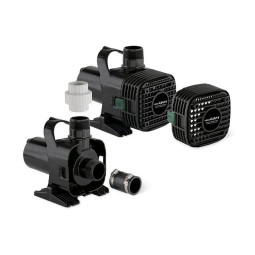 566724 - F10-1200, WDM, BOMBA ESPECIALIZADA