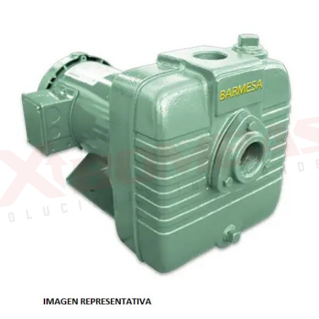 MODELO BSP10CCE3T BARNES BOMBA AUTOCEBANTE MOTOR ELÉCTRICO