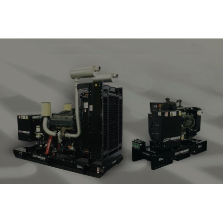 MODELO GMD45-4045D-3A 440V BARNES PLANTAS ELÉCTRICAS CON MOTOR A DIÉSEL SIN CASETA