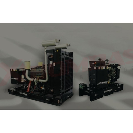 MODELO GMD45-4045D-3A 220V BARNES PLANTAS ELÉCTRICAS CON MOTOR A DIÉSEL SIN CASETA